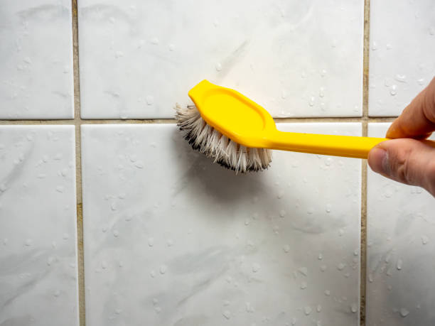 Professional Mold Remediation in Creve Coeur, IL