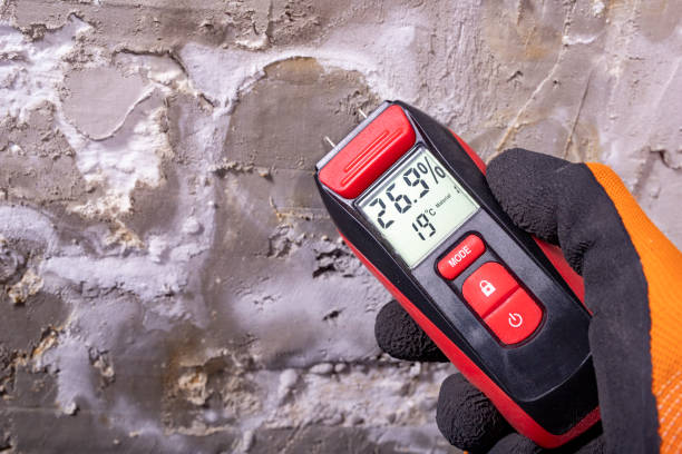 Best Kitchen Mold Remediation in Creve Coeur, IL